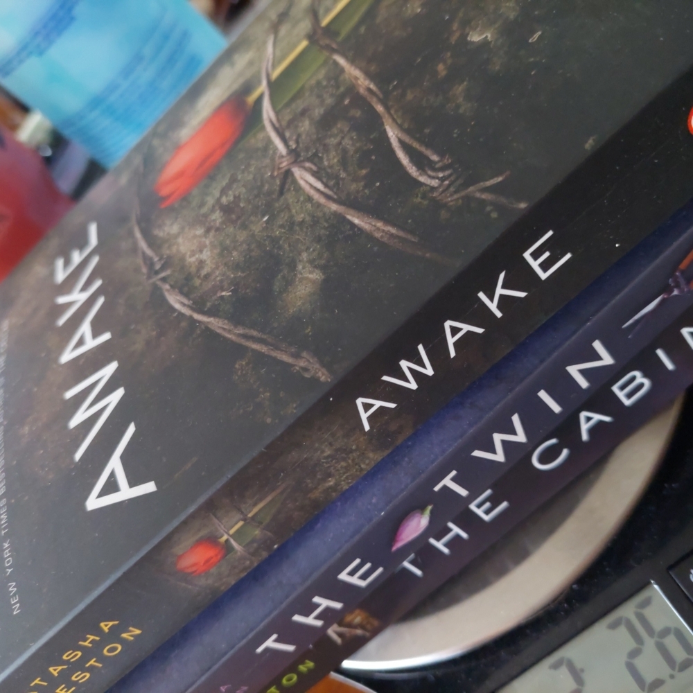 Awake,The Twin & The Cabin Books